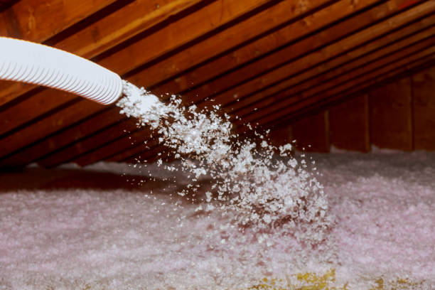 Best Cellulose Insulation in East Palatka, FL