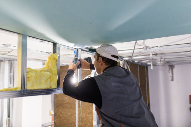 Types of Insulation We Offer in East Palatka, FL