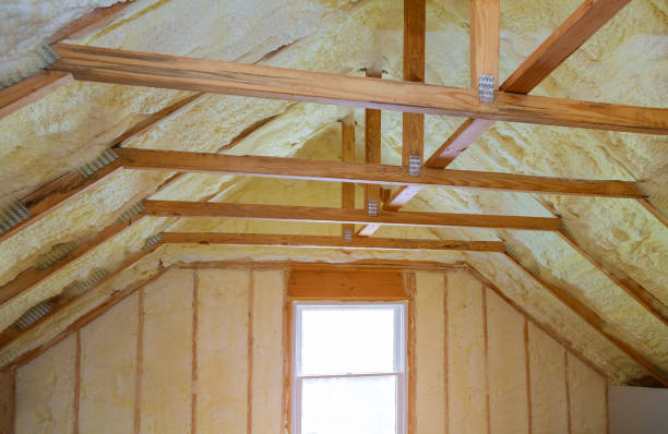 Best Geographic-Specific Insulation Services in East Palatka, FL
