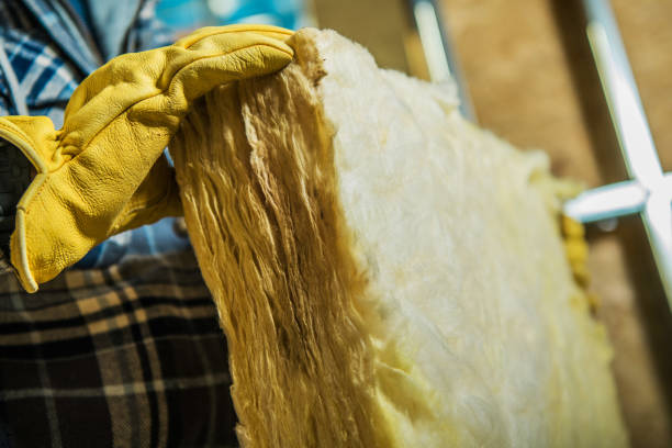 Best DIY Insulation Kits and Guidance in East Palatka, FL