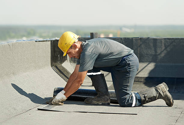 Best Insulation Maintenance and Repair in East Palatka, FL