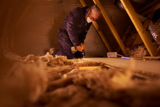 Best Specialized Insulation Services in East Palatka, FL